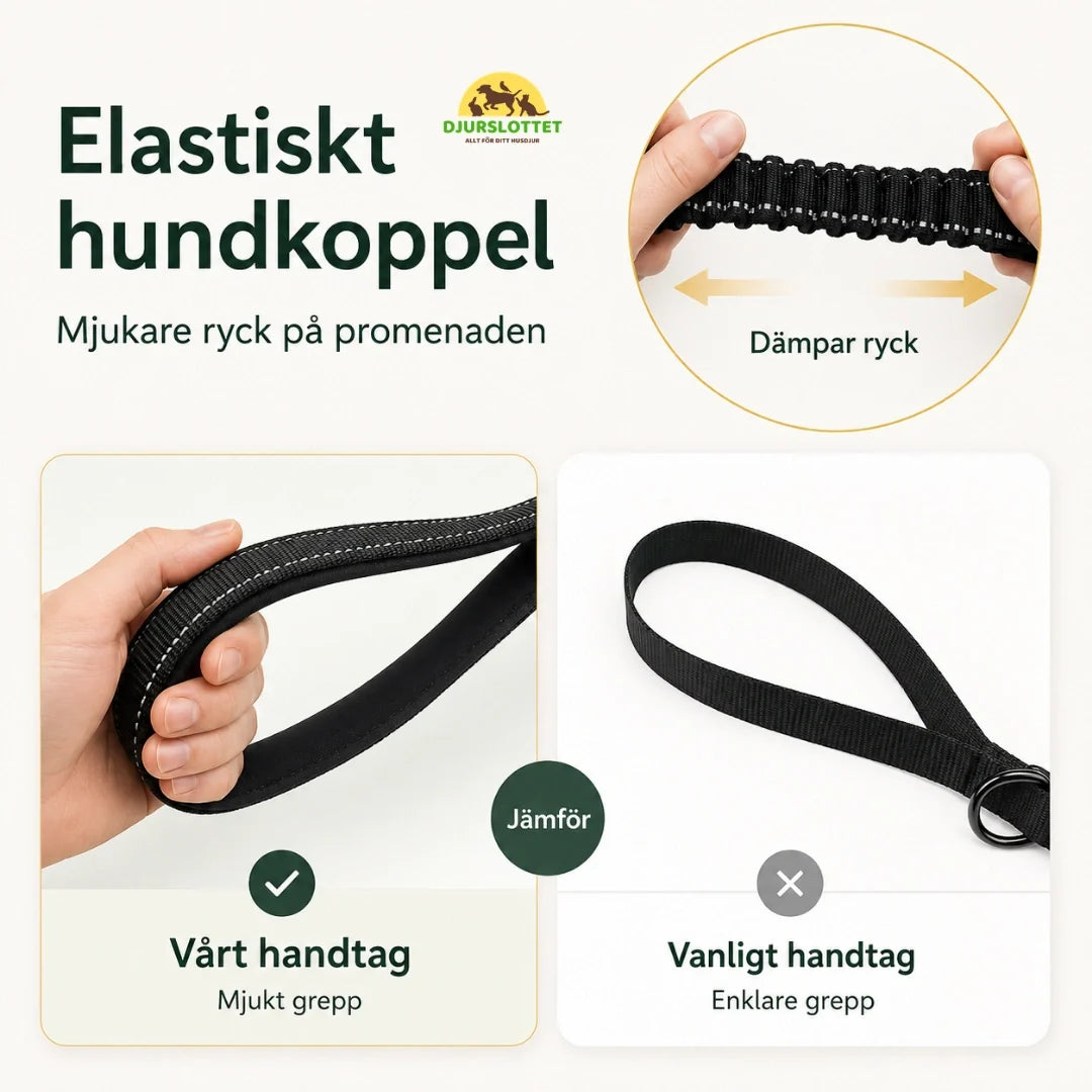SafePaw Anti-Pull Lead with Seatbelt Attachment elastic - Petifo