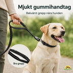 SafePaw Anti-Pull Lead with Seatbelt Attachment soft rubber handle - Petifo