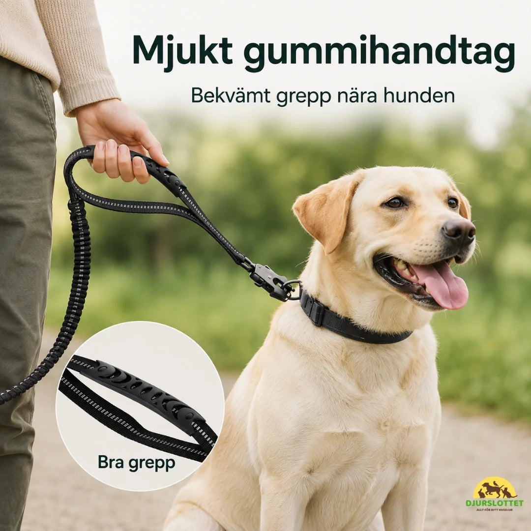SafePaw Anti-Pull Lead with Seatbelt Attachment soft rubber handle - Petifo