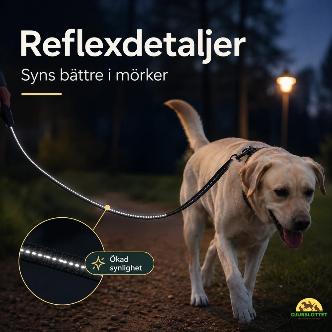SafePaw Anti-Pull Lead with Seatbelt Attachment reflective details - Petifo
