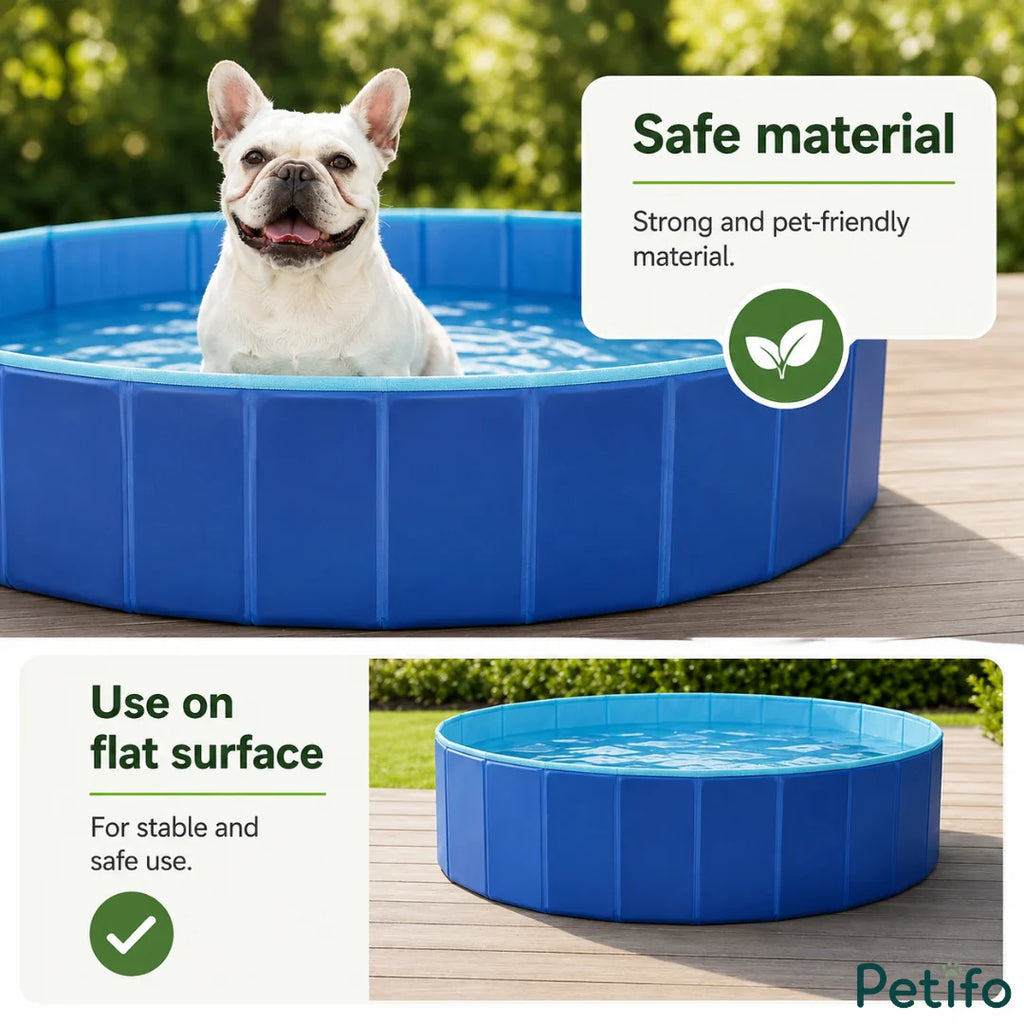 French bulldog sitting in a blue Petifo dog pool on a flat wooden surface showcasing safe materials.