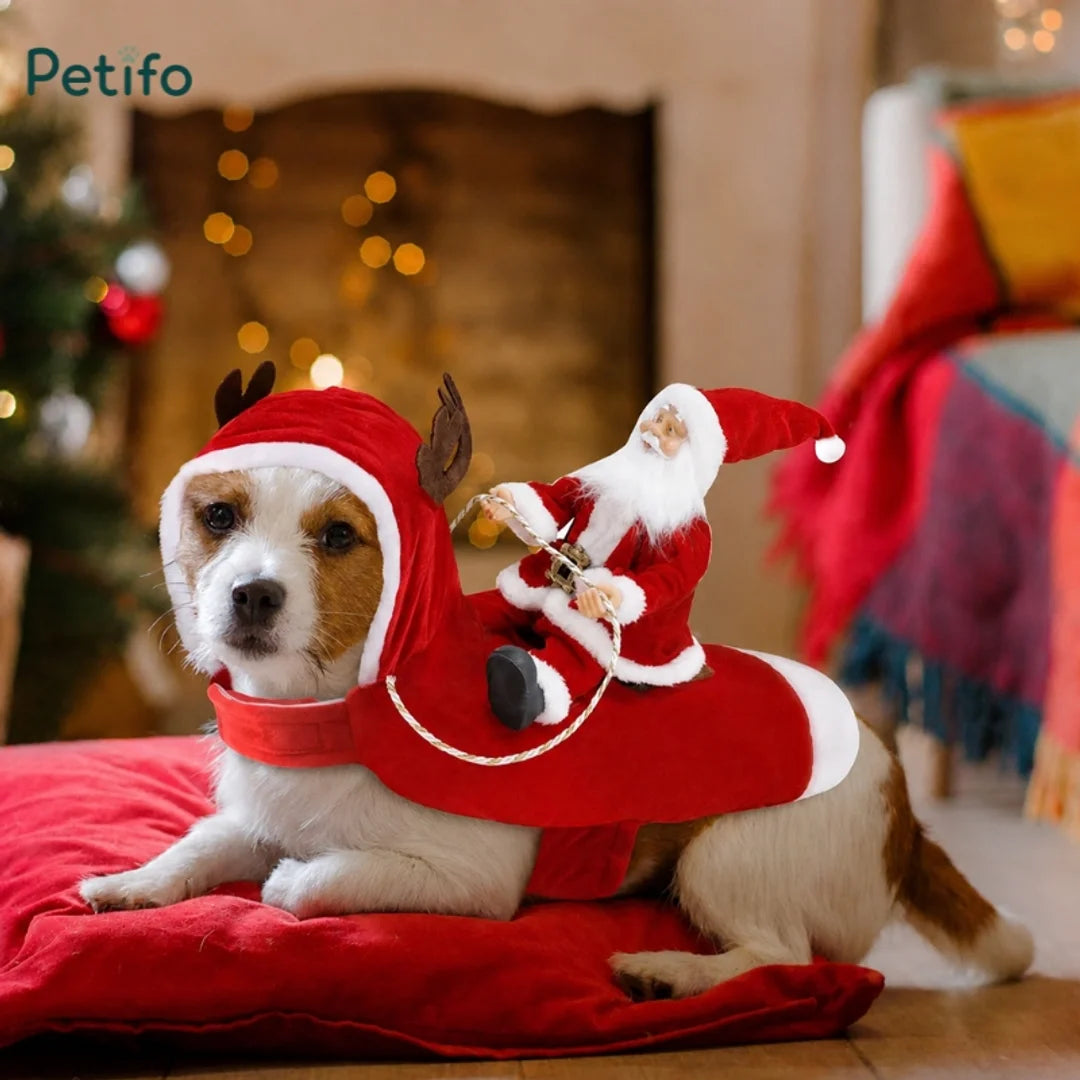 Small dog lying down indoors wearing a Santa Claus riding a reindeer costume.