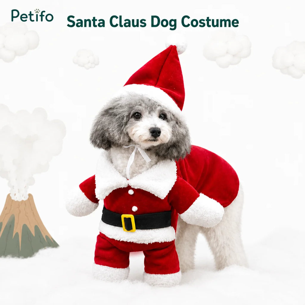 Poodle dog wearing a festive Santa Claus dog costume in the snow.