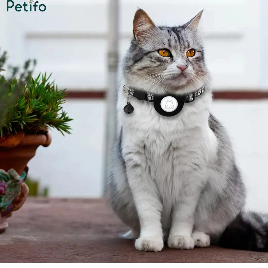 Fluffy gray and white cat sitting gracefully outdoors while wearing a secure black GPS tracker collar with a bell.