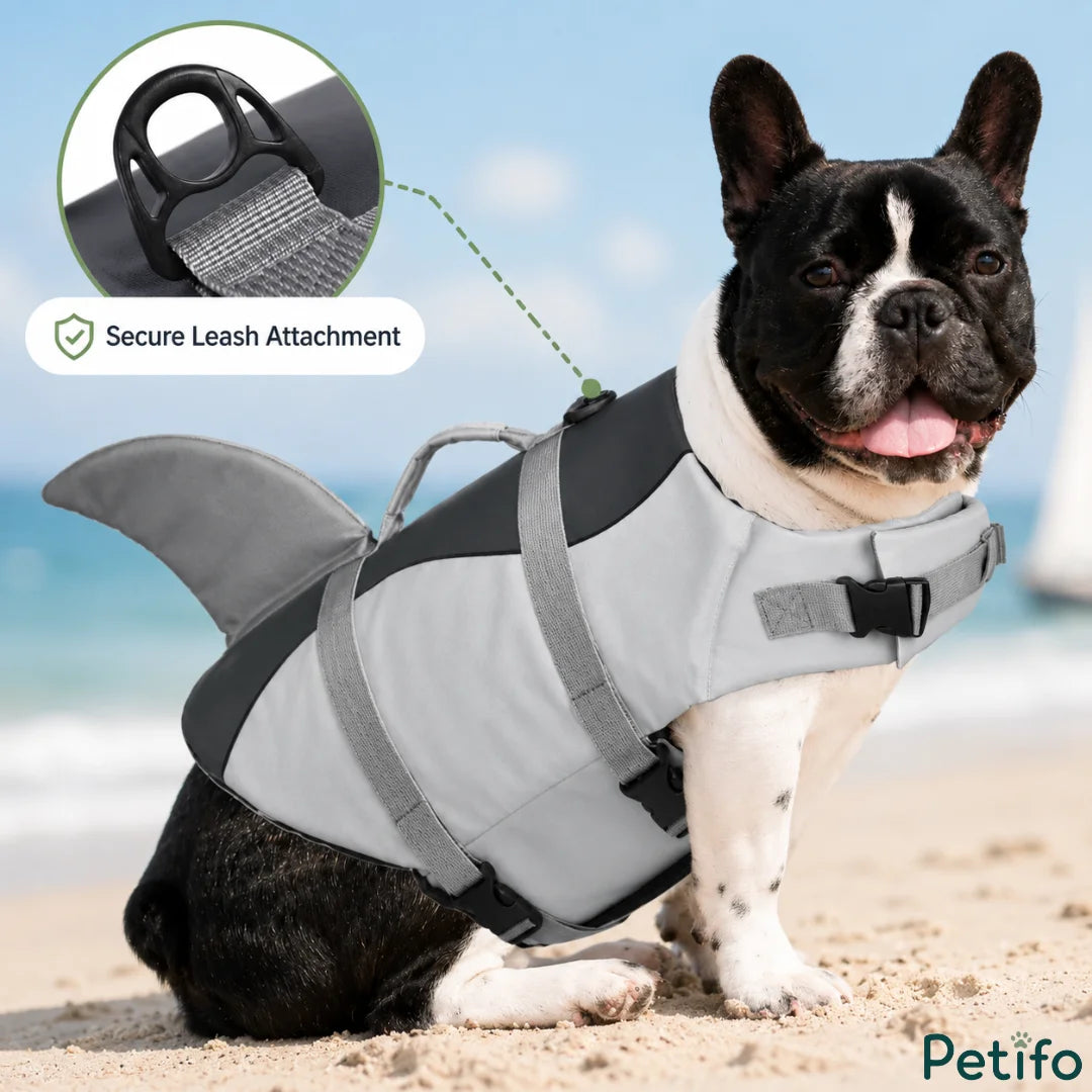 Petifo shark dog life jacket showing a secure leash attachment on a French Bulldog sitting on the beach.