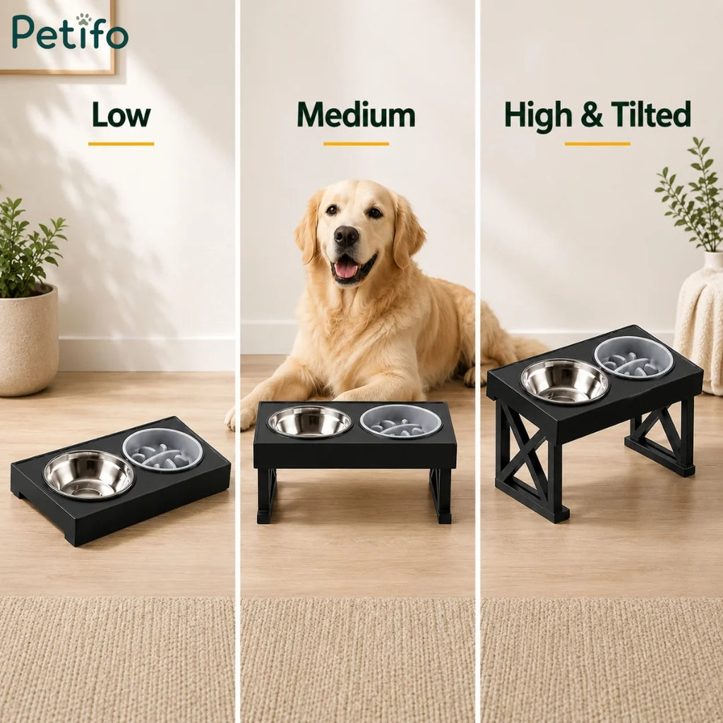Golden Retriever shown next to Low, Medium, and High Tilted height setups of Petifo feeder