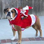Father Christmas Costume for Dogs and Cats - Petifo