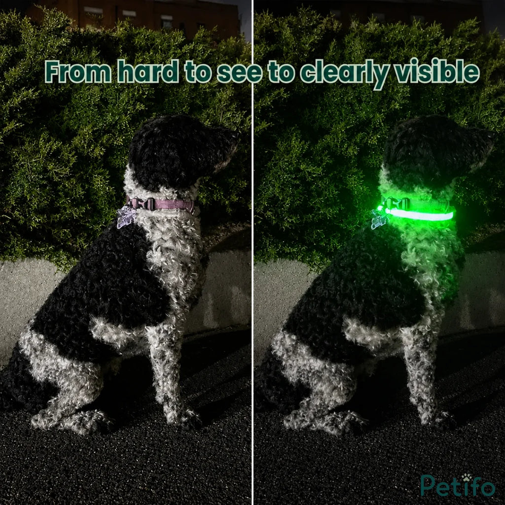 Side-by-side comparison of a dog in the dark showing enhanced night visibility with an illuminated LED collar.