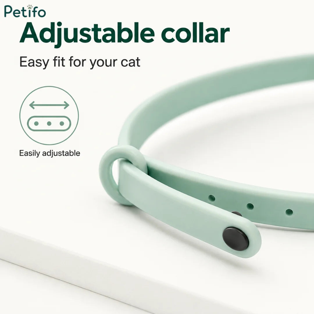 Petifo mint green adjustable silicone cat collar shown on a white surface, highlighting its easy fit and multiple sizing holes.