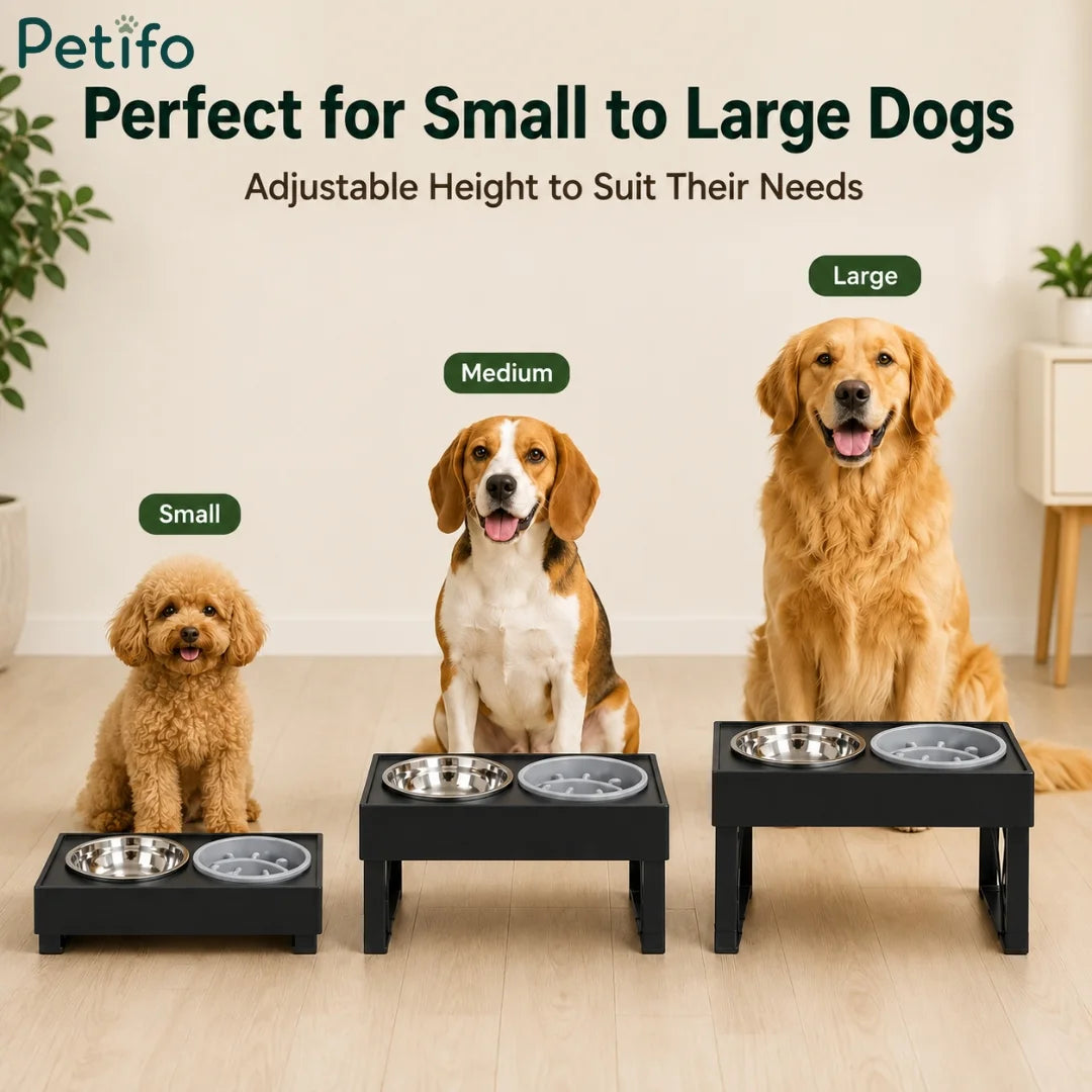 Golden Retriever shown next to Low, Medium, and High Tilted height size