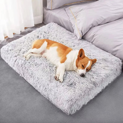 Fluffig Hundbädd, 
Hundbädd Tvättbar, CozyCloud Fluffig djurbädd - Djurslottet