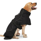 Side profile of a labrador wearing a sleek black thermal dog jacket against a clean white background.