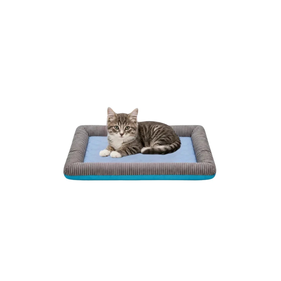 A cute grey tabby cat lying relaxed on a small blue and grey striped cooling pet bed against a white background.