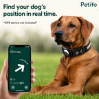 Brown dog wearing a smart LED safety collar next to a hand holding a smartphone showing a real-time tracking app interface.