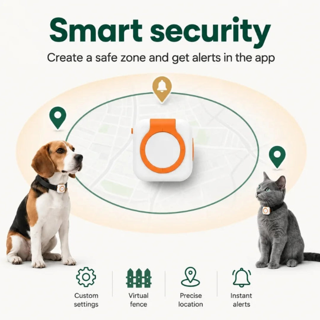 Smart pet security with virtual fence safe zone alerts and real time GPS tracking Petifo