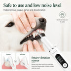 Detixy pet dental scraper demonstrating its smart touch sensor technology that automatically stops vibrations upon contacting a dog's gums.
