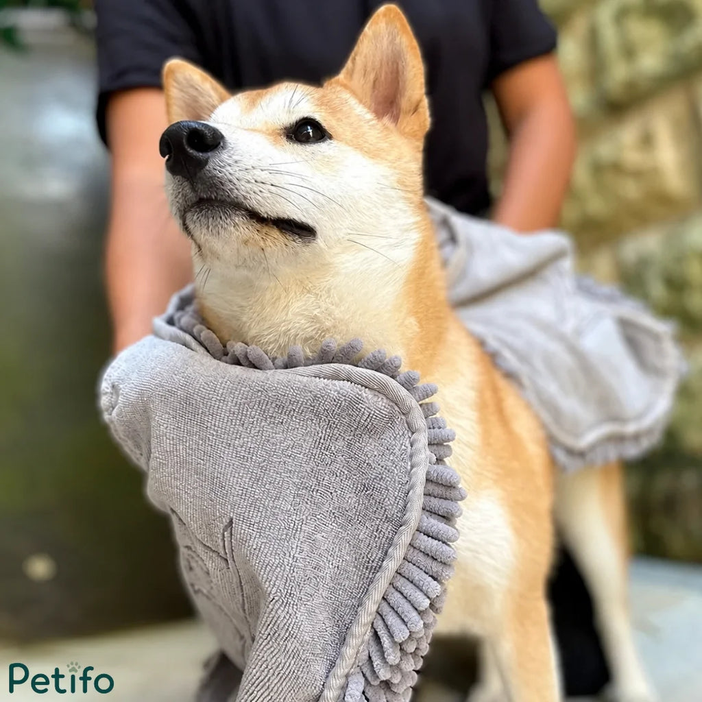 Close-up of a Shiba Inu being gently dried with a soft grey pet towel.