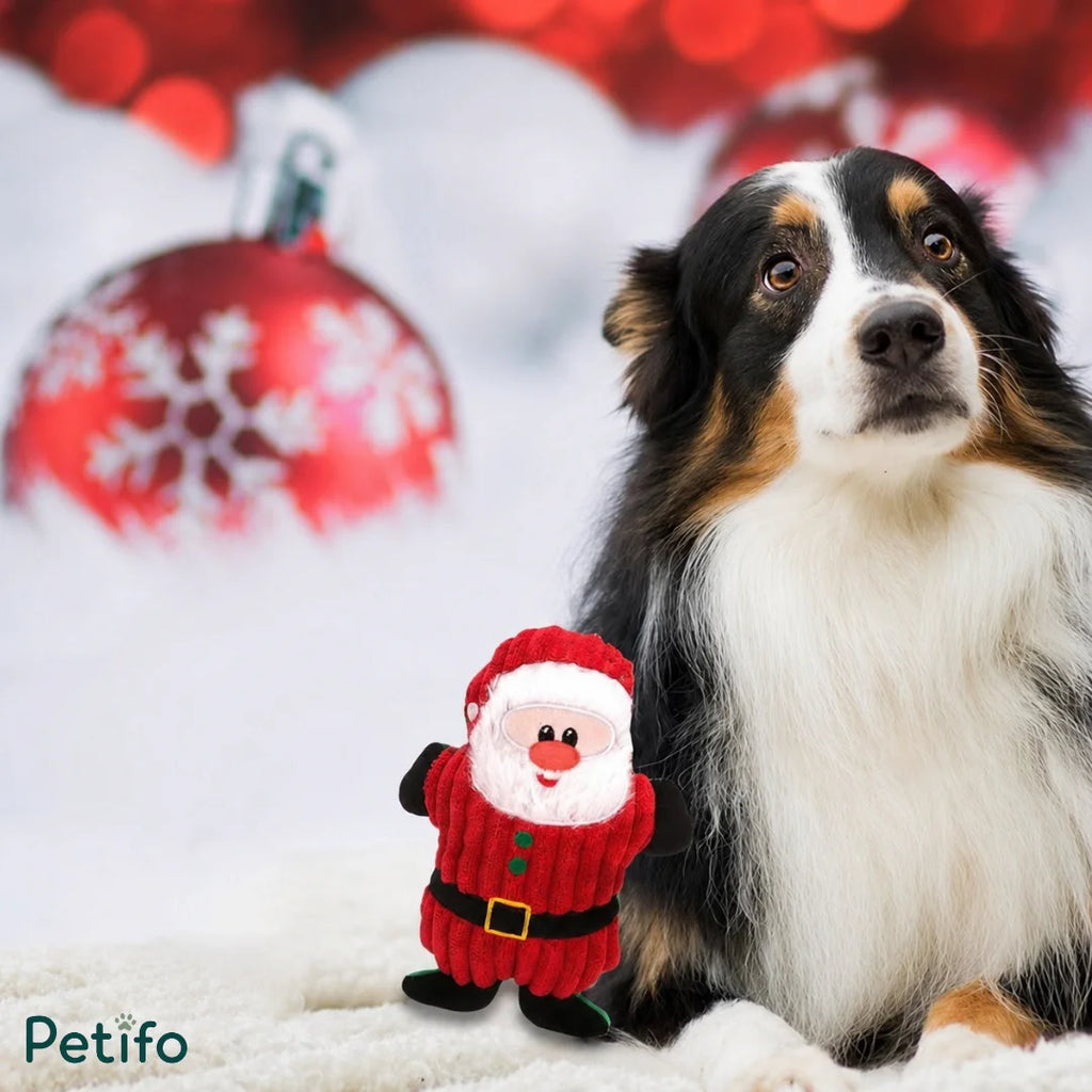 Cute dog sitting next to a plush Santa Claus squeaky toy against a festive winter background with a red ornament.