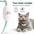 Feature infographic for the Petifo laser collar illustrating its two laser modes—steady light and flashing light—next to an excited grey cat wearing the collar.