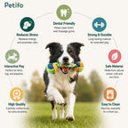 Product features infographic highlighting dental health, stress relief, safety, and durability benefits of the dog rope toy set.