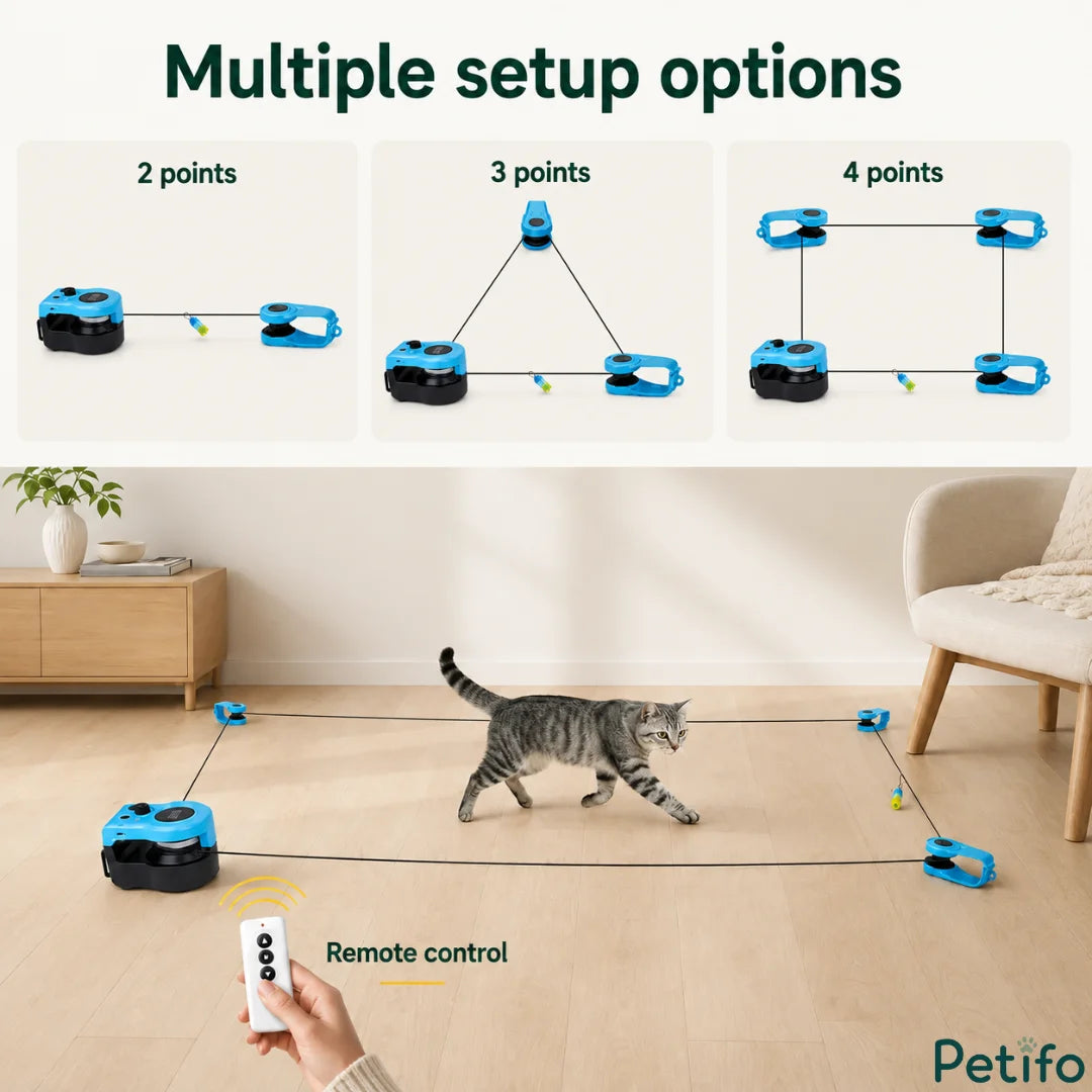 Setup options graphic demonstrating 2-point, 3-point, and 4-point string configurations for the automated cat toy.
