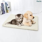 A tabby kitten and a golden retriever puppy resting on a cream-colored pet mat in front of a shelf with books.
