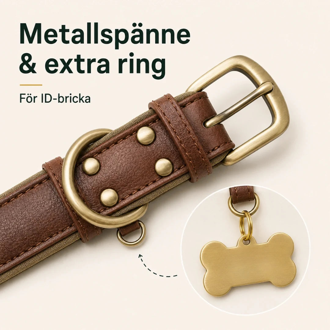 Tagley leather collar with extra small D-ring - Petifo