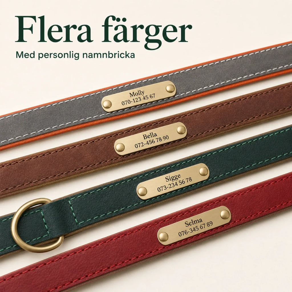 Tagley leather collar in four colours - Petifo