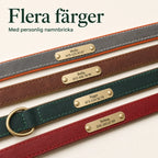 Tagley leather collar in four colours - Petifo