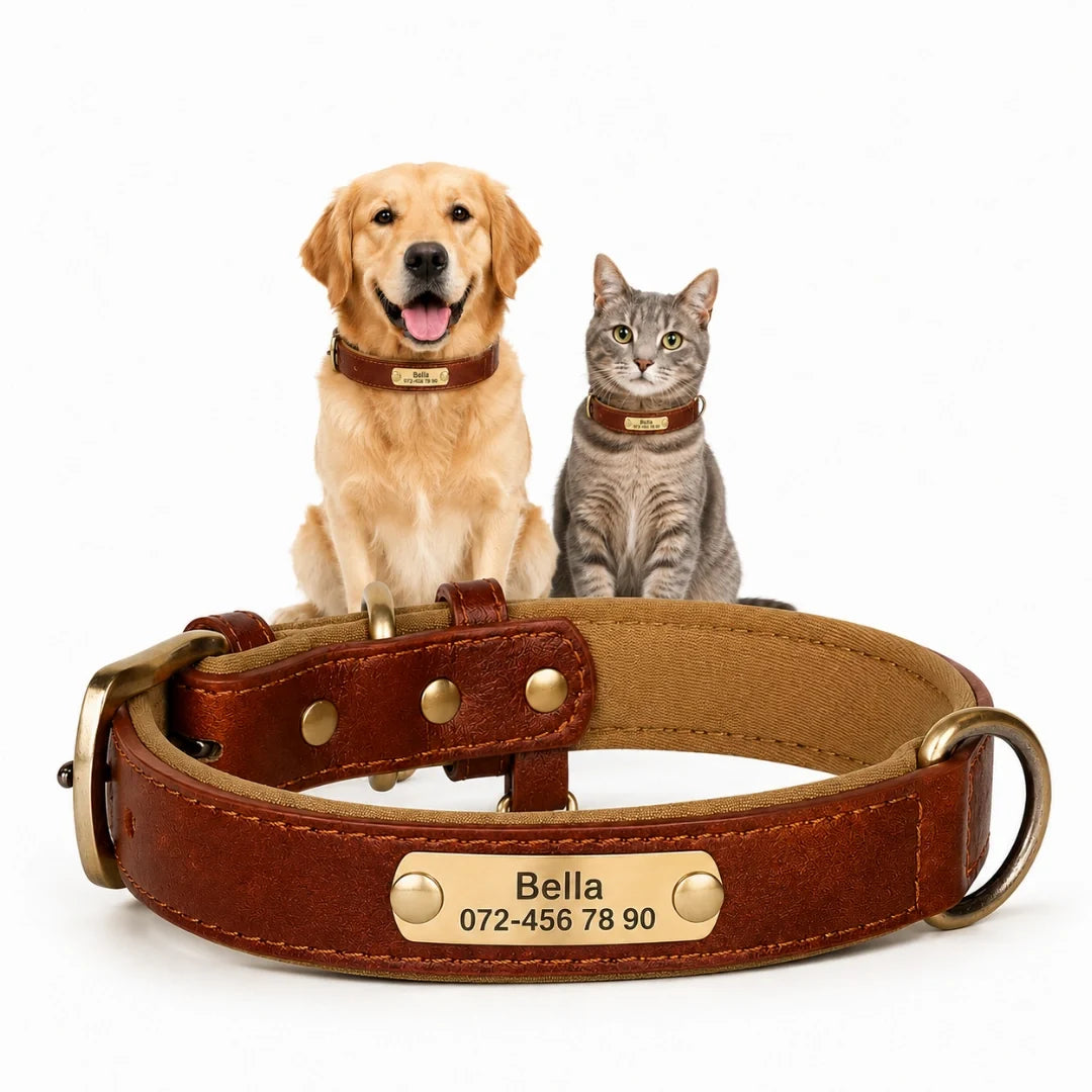 Tagley leather collar with personalised engraving in brown - Petifo