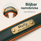 Tagley leather collar with engraved name and phone number - Petifo