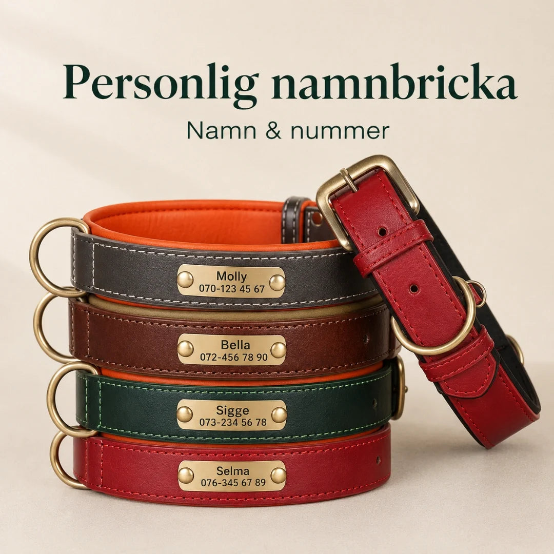 Tagley leather collar with personalised name plate - Petifo