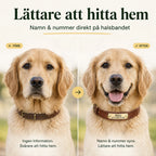 Tagley leather collar provides safer ID marking - Petifo