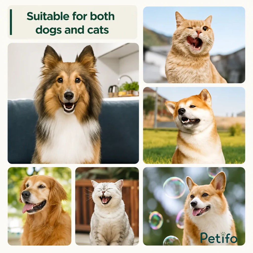 Grid photo showing various dog and cat breeds suitable for dental cleaning tools