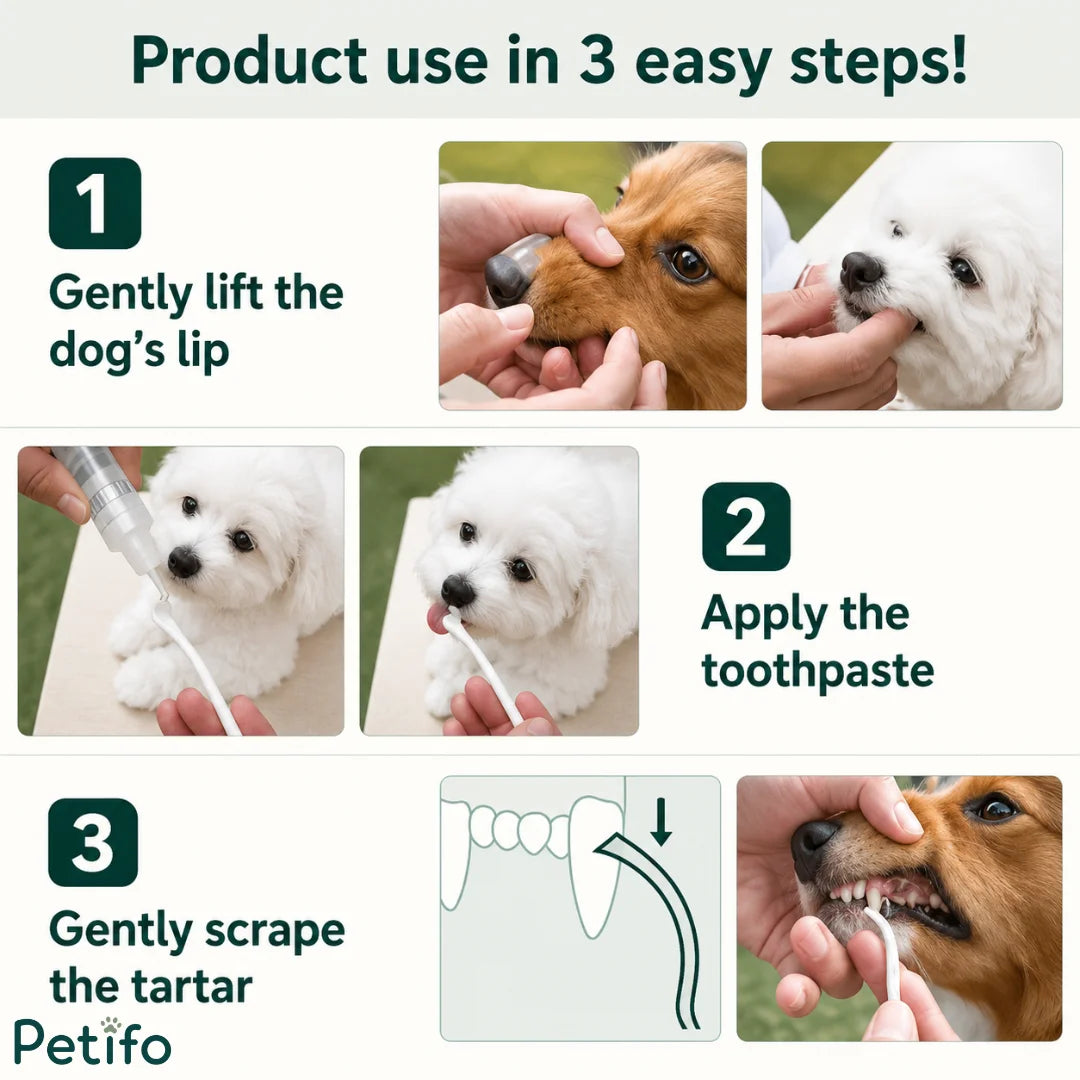 Three-step visual guide on lifting pet lip, applying toothpaste, and scraping tartar