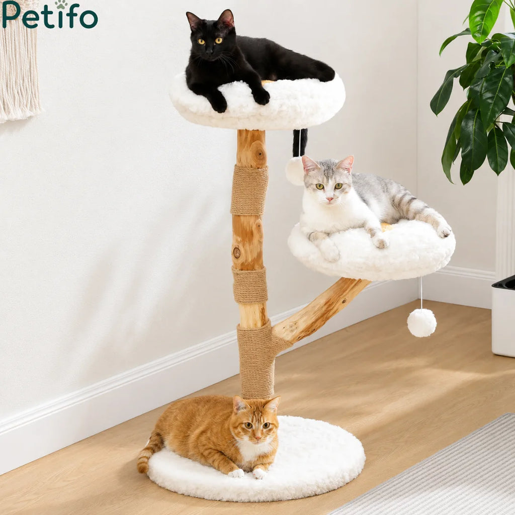 Three cats relaxing on a modern flower-shaped cat tree featuring plush platforms and natural wood branches.