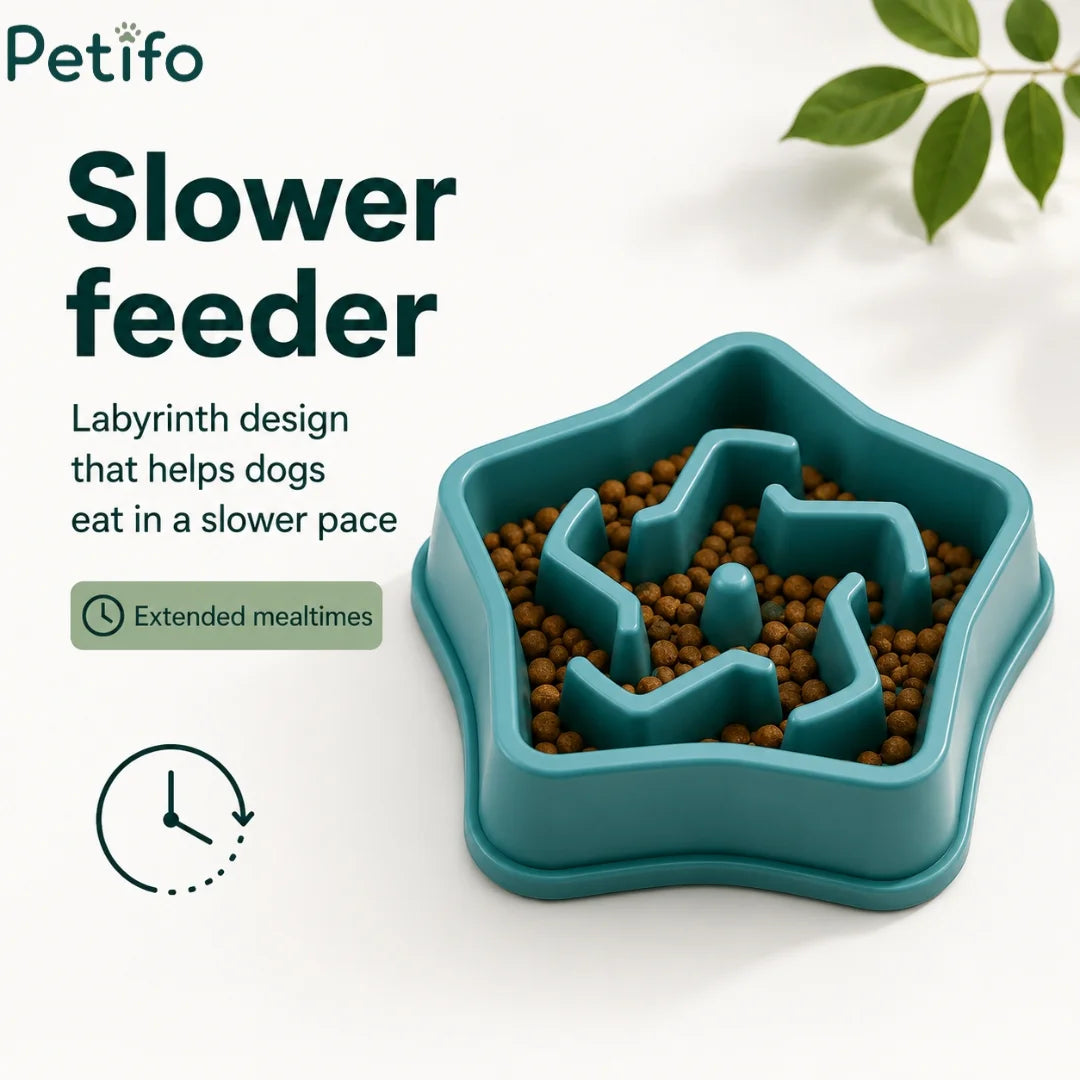 Top view of teal labyrinth maze slow feeder bowl filled with dog kibble