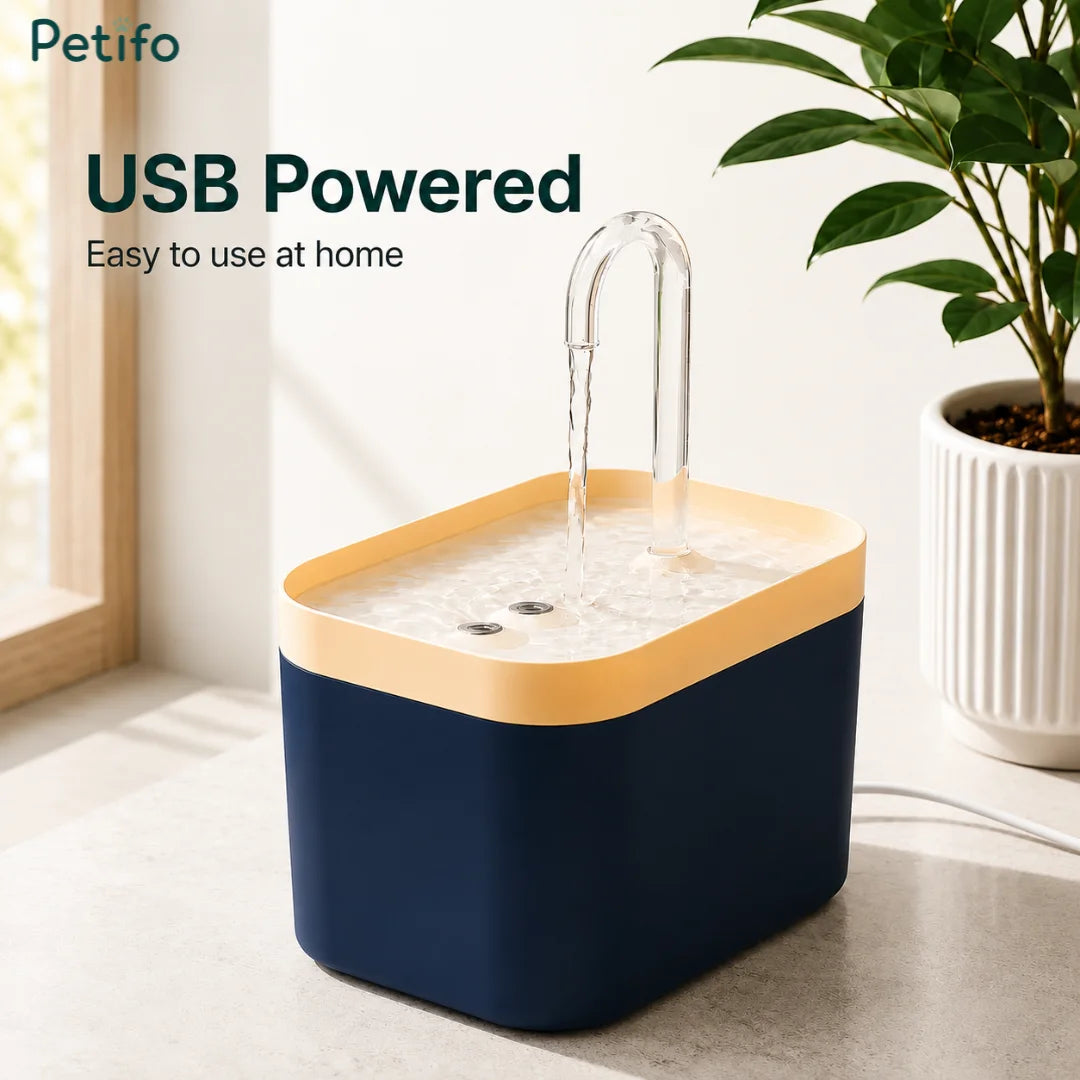 USB-powered Petifo automatic cat water fountain operating on a tabletop next to a potted plant.