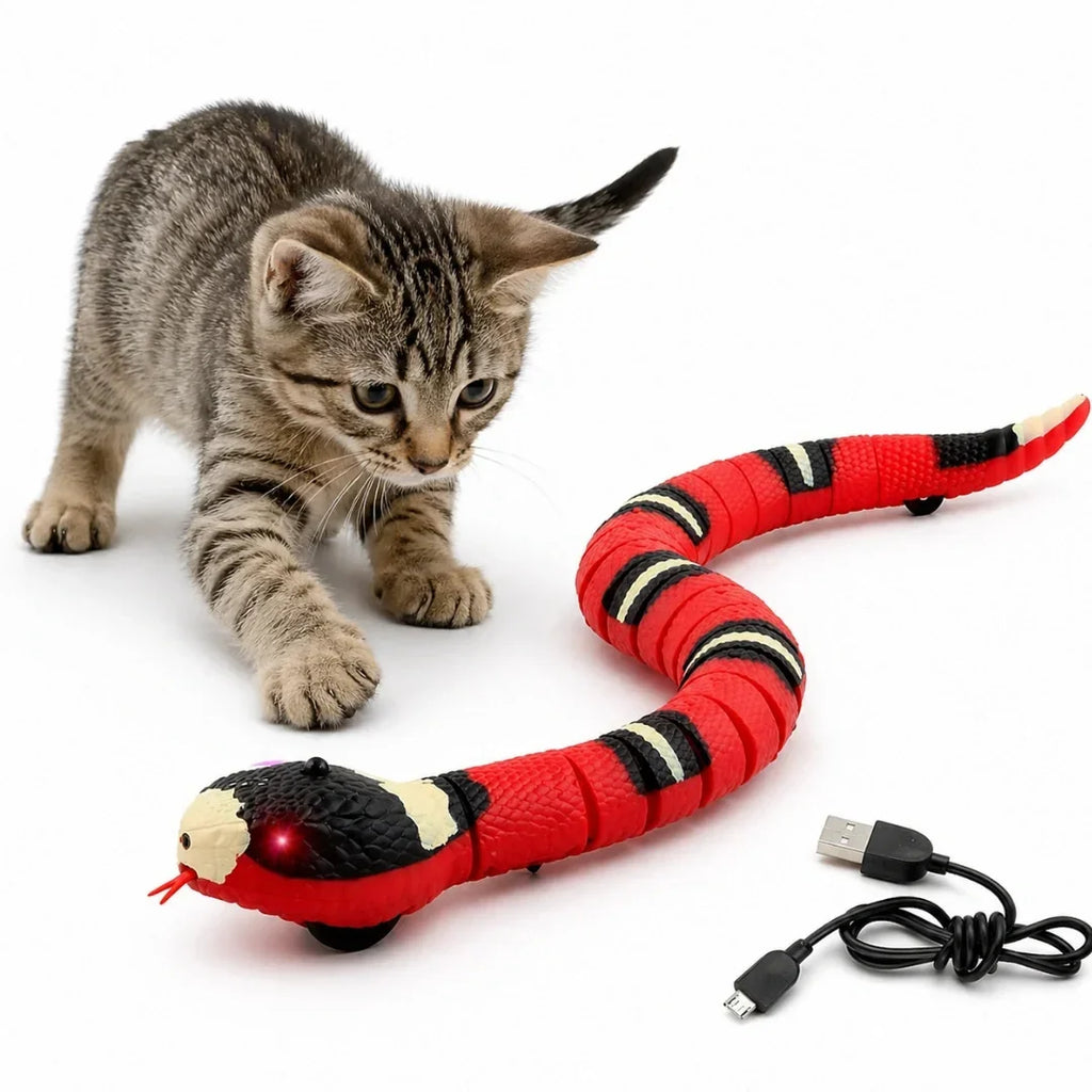 Playful kitten interacting with the electronic snake toy alongside its USB charging cable.