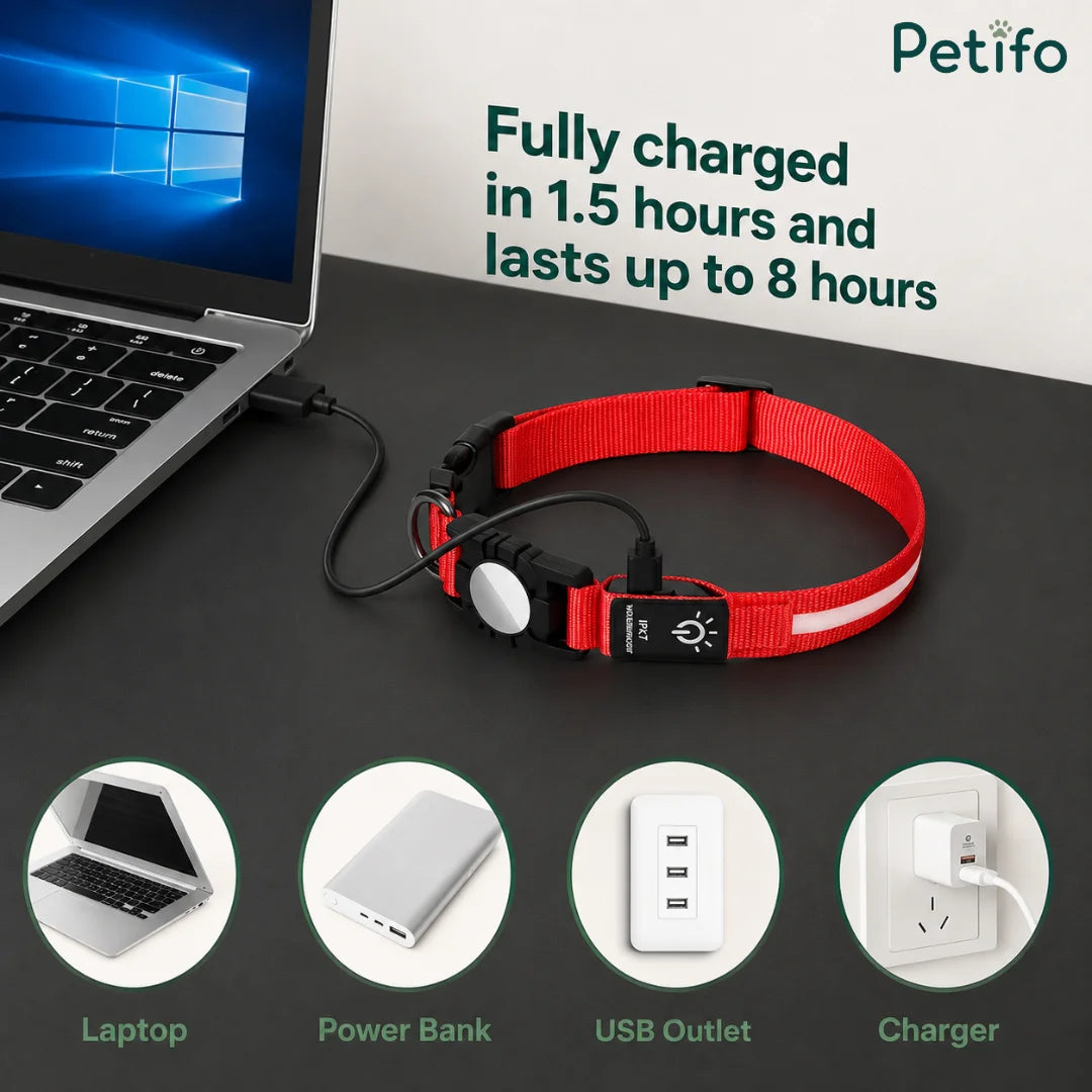 Red LED dog collar connected to a laptop via USB cable showing multiple recharging compatibility options.