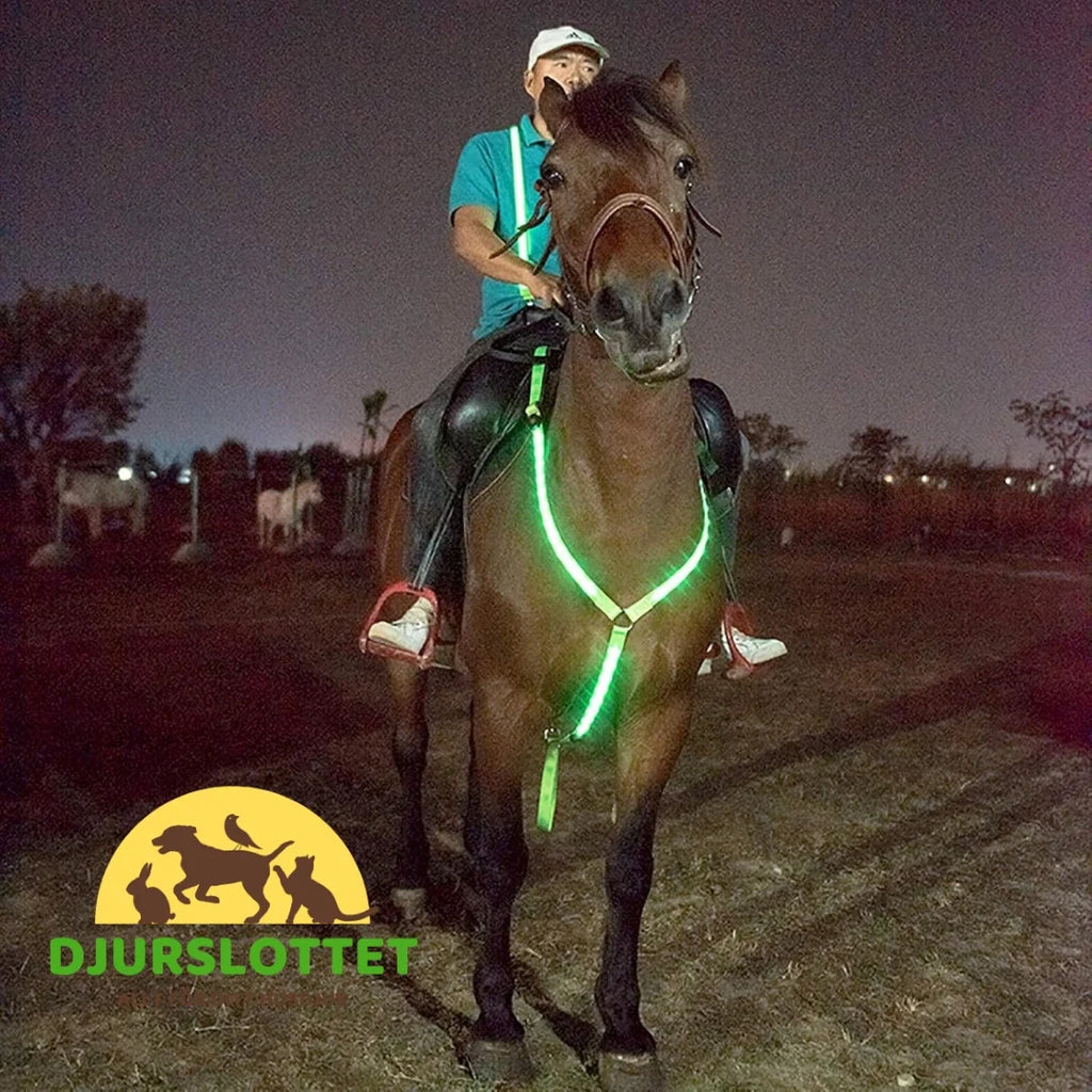 Rechargeable LED breastplate for horses High visibility - Petifo