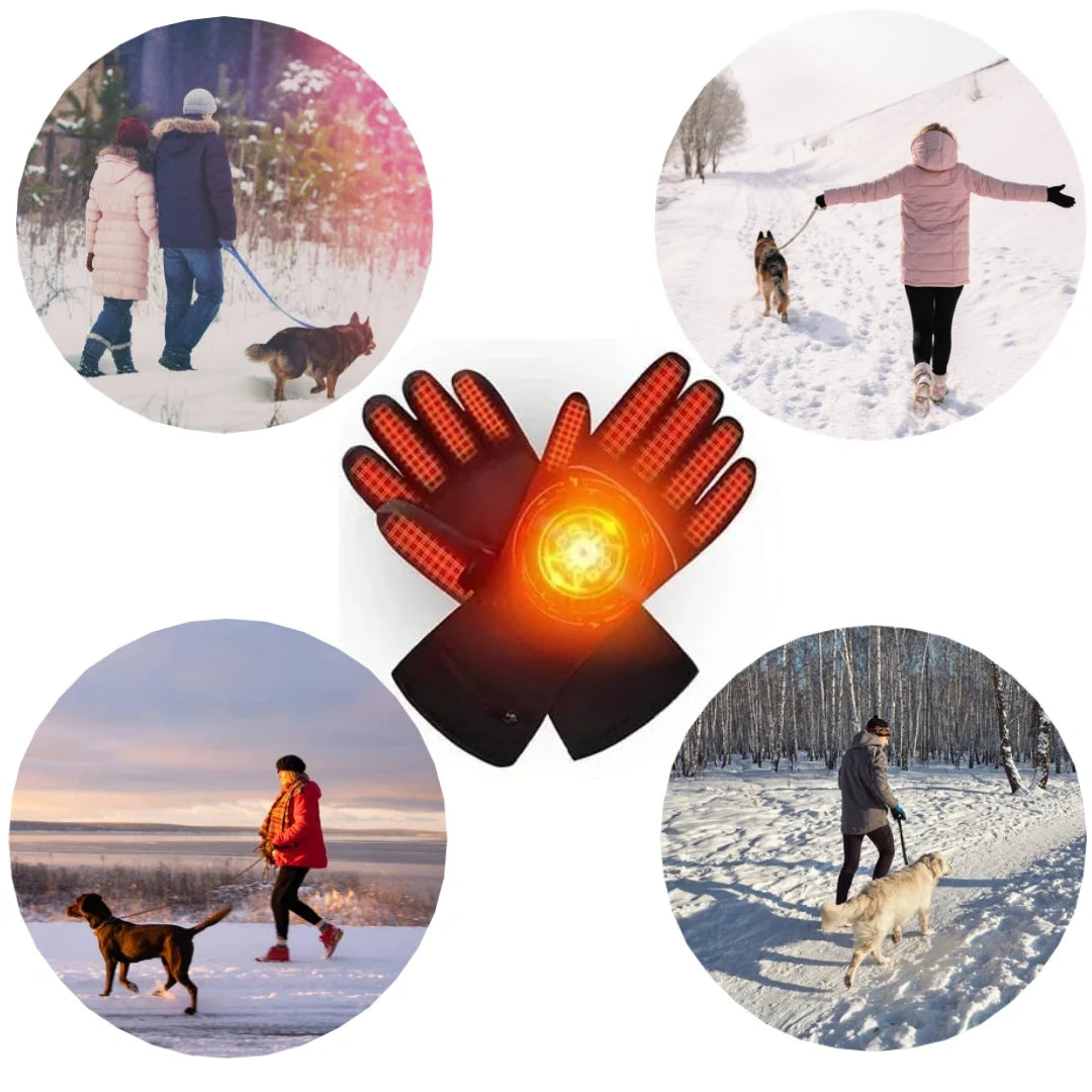 Heated Gloves for Dog Owners Cold hands should not ruin the dog walk  Petifo