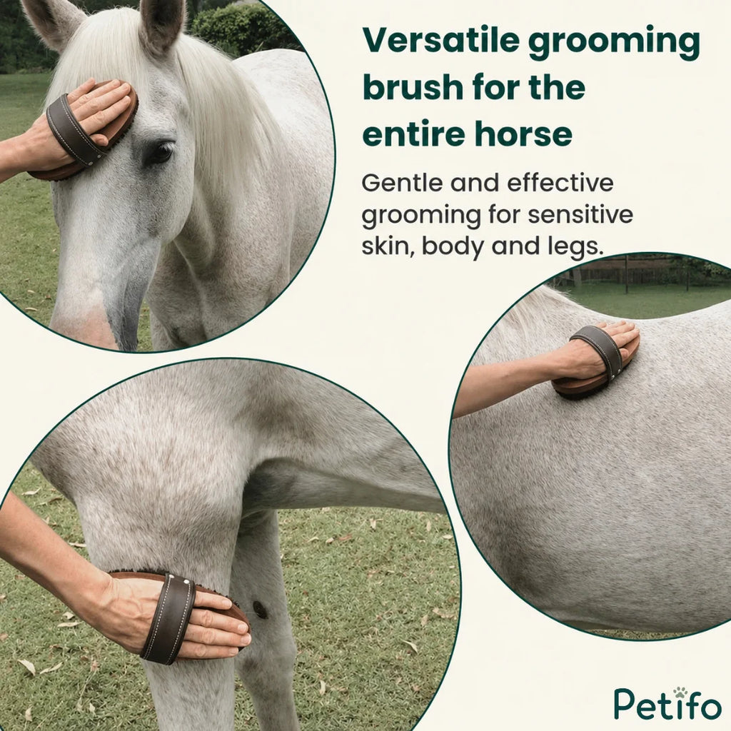 Versatile wooden horse grooming brush being used on a white horse's head, body, and legs.