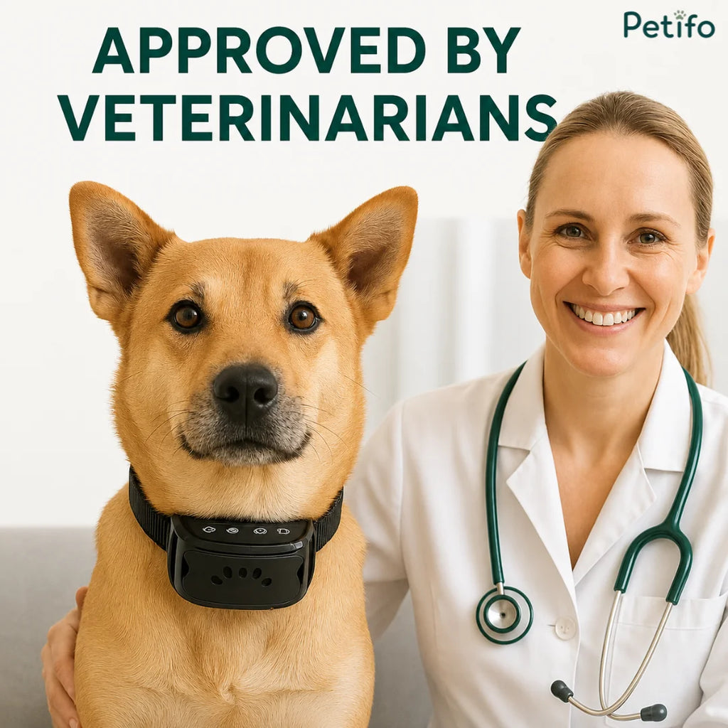 A veterinarian smiling next to a dog wearing the black training collar, highlighting that it is approved by veterinarians.