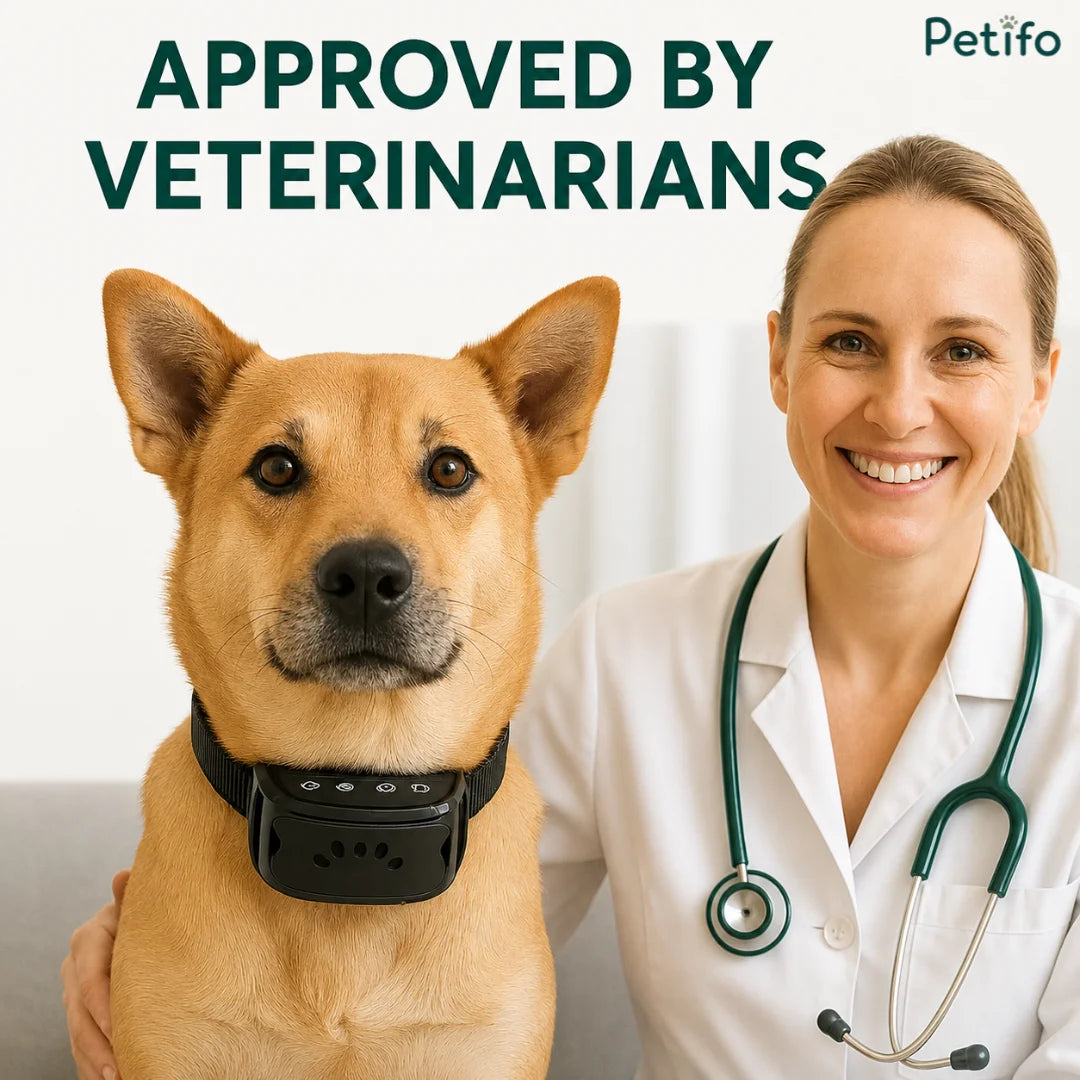 A veterinarian smiling next to a dog wearing the black training collar, highlighting that it is approved by veterinarians.