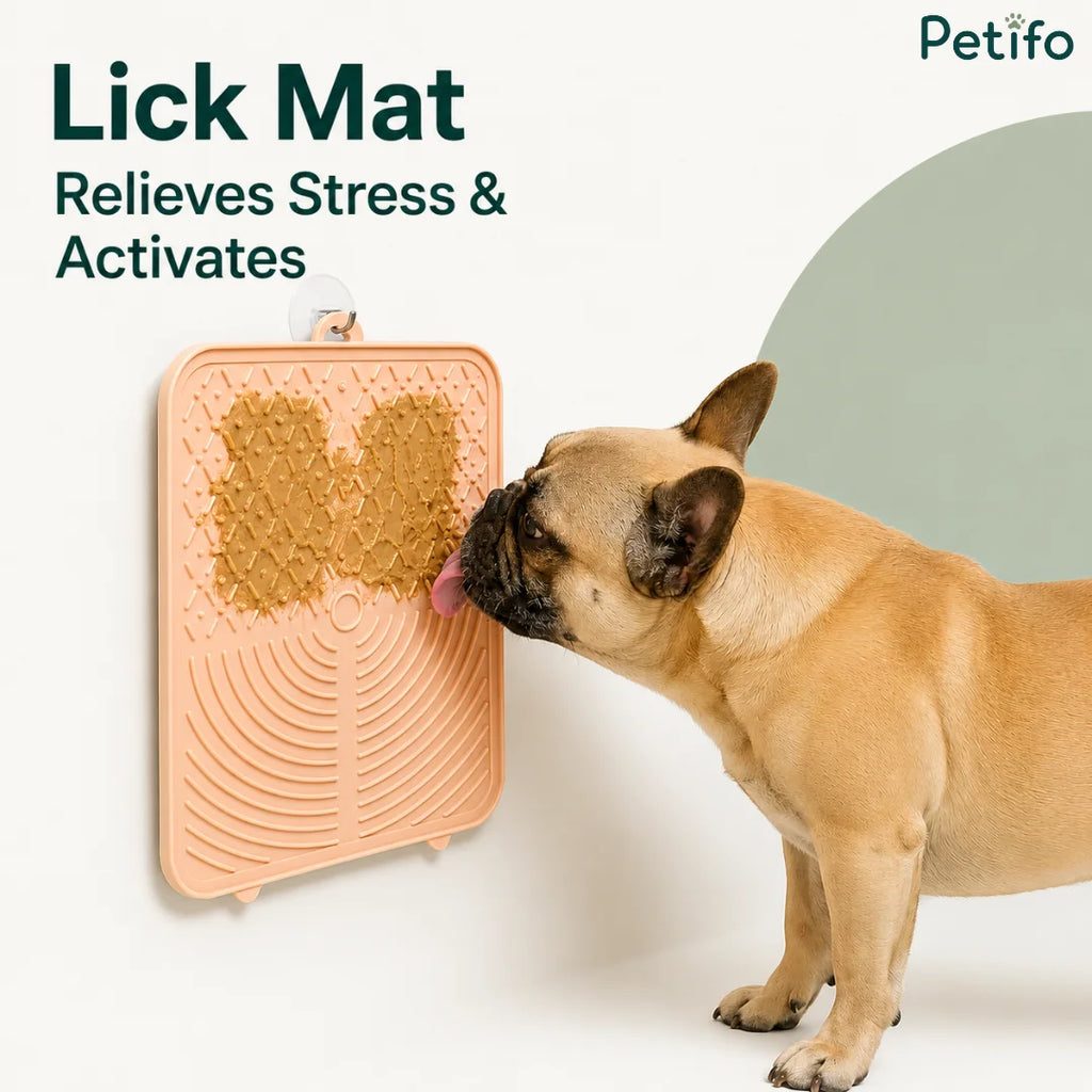 French bulldog enjoying peanut butter from a wall-hung Petifo stress-relieving lick mat