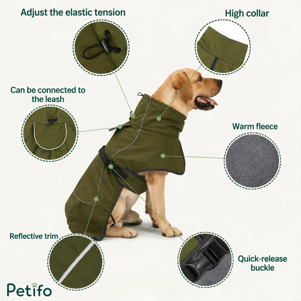 Labeled infographic highlighting key features of the green dog jacket including quick-release buckles and warm fleece.