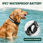 Golden retriever wearing an IPX7 waterproof LED dog collar while swimming in a pool with a splash close-up inset.