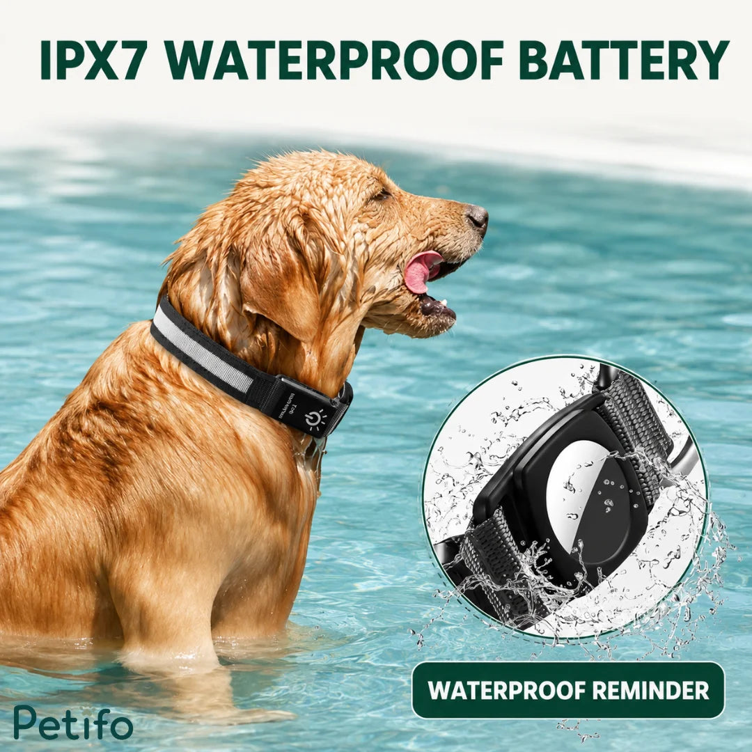 Golden retriever wearing an IPX7 waterproof LED dog collar while swimming in a pool with a splash close-up inset.