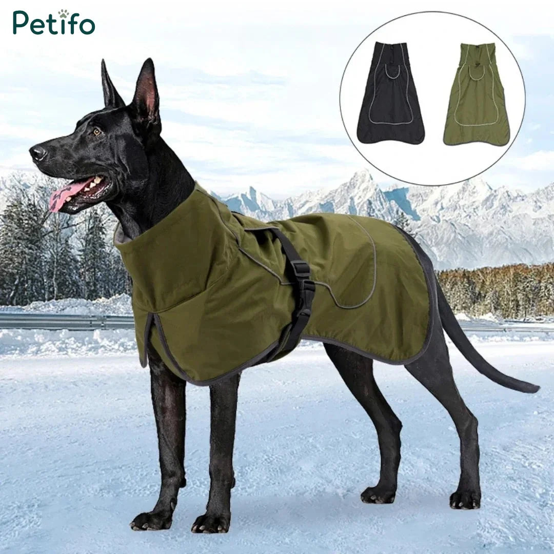Black dog standing in a snowy landscape wearing an olive green weather-resistant dog jacket with color options displayed.